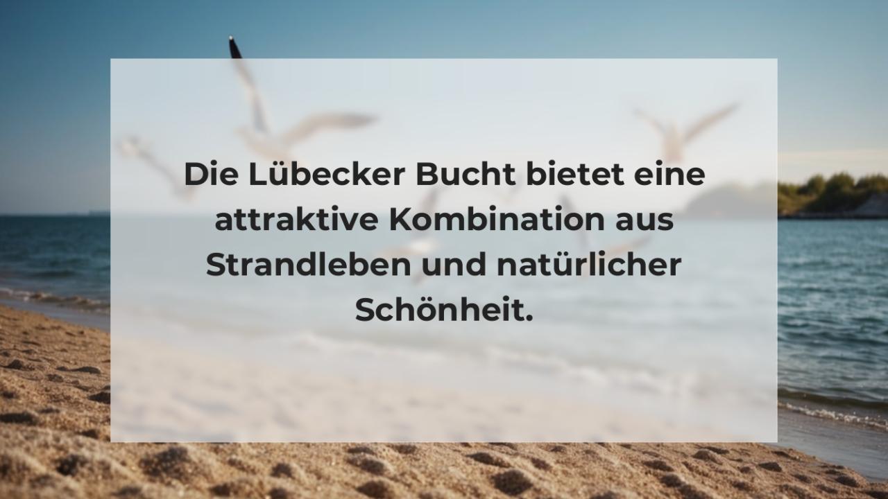 Die Lübecker Bucht bietet eine attraktive Kombination aus Strandleben und natürlicher Schönheit.