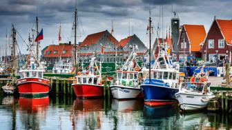 fischereihafen travemuende entdecken sie die maritime vielfalt und aktivitaeten